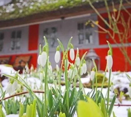 Unter Reet Apartamento *