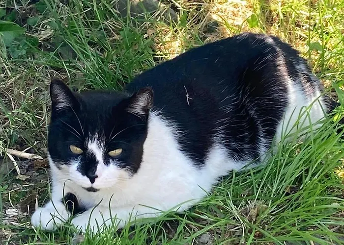 Appartement Unter Reet