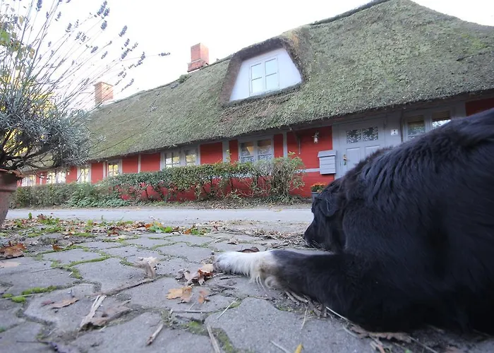 Appartement Unter Reet Krems Zwei
